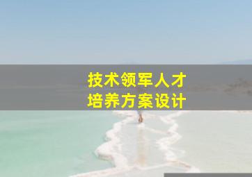 技术领军人才培养方案设计