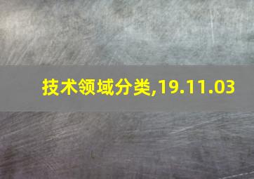 技术领域分类,19.11.03