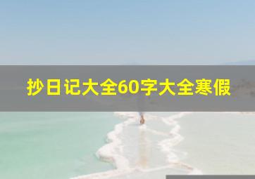 抄日记大全60字大全寒假