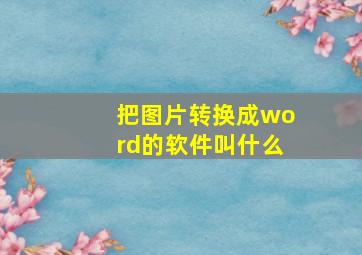 把图片转换成word的软件叫什么