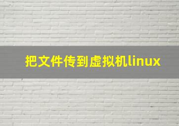 把文件传到虚拟机linux