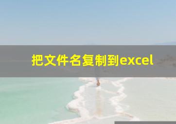 把文件名复制到excel