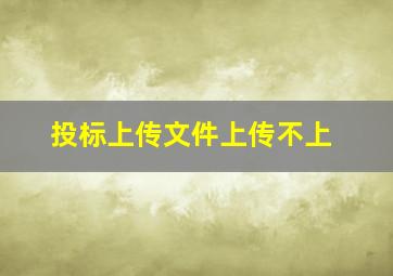 投标上传文件上传不上