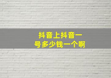 抖音上抖音一号多少钱一个啊