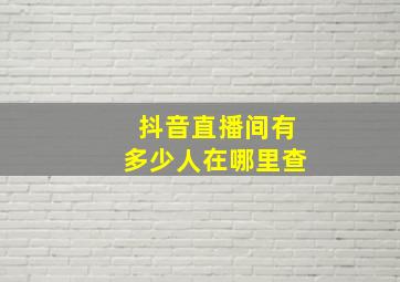 抖音直播间有多少人在哪里查