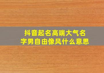 抖音起名高端大气名字男自由像风什么意思