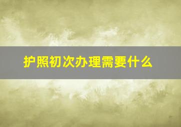 护照初次办理需要什么