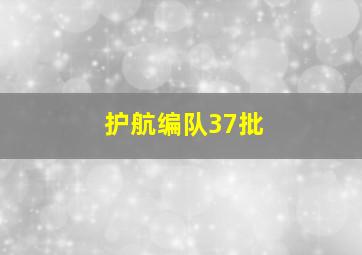 护航编队37批