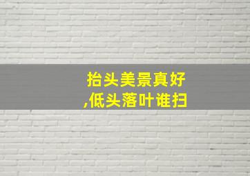 抬头美景真好,低头落叶谁扫