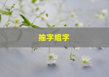 抽字组字