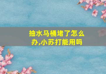 抽水马桶堵了怎么办,小苏打能用吗