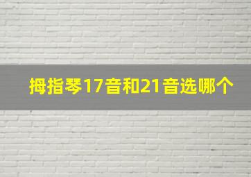 拇指琴17音和21音选哪个