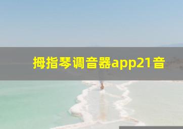 拇指琴调音器app21音