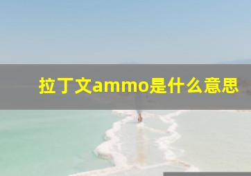 拉丁文ammo是什么意思