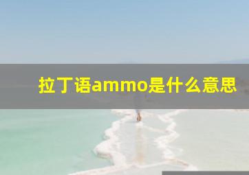 拉丁语ammo是什么意思