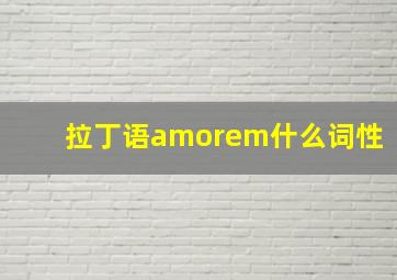 拉丁语amorem什么词性