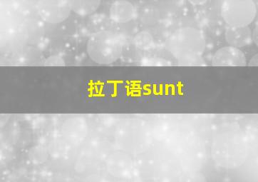 拉丁语sunt