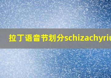 拉丁语音节划分schizachyrium