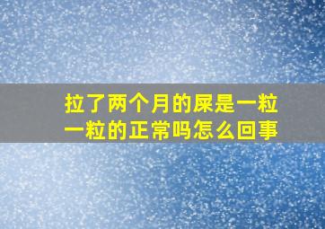 拉了两个月的屎是一粒一粒的正常吗怎么回事