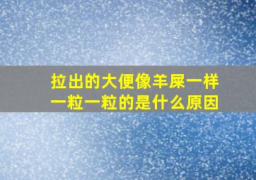 拉出的大便像羊屎一样一粒一粒的是什么原因