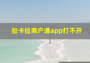 拉卡拉商户通app打不开