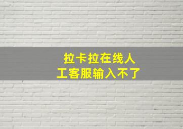 拉卡拉在线人工客服输入不了