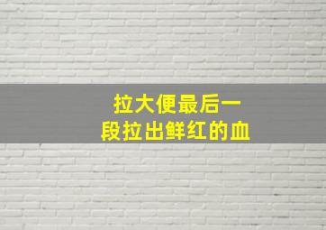 拉大便最后一段拉出鲜红的血