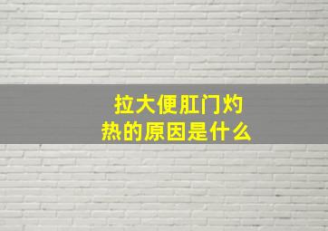 拉大便肛门灼热的原因是什么