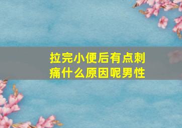 拉完小便后有点刺痛什么原因呢男性