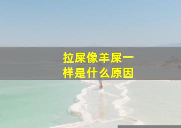 拉屎像羊屎一样是什么原因