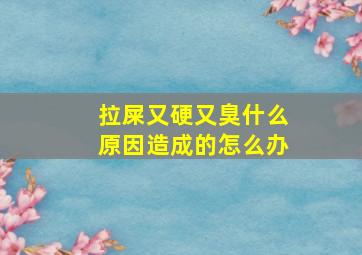 拉屎又硬又臭什么原因造成的怎么办