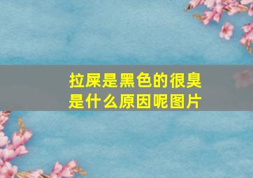 拉屎是黑色的很臭是什么原因呢图片