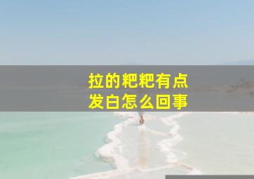 拉的粑粑有点发白怎么回事