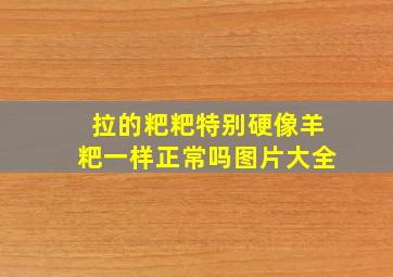 拉的粑粑特别硬像羊粑一样正常吗图片大全