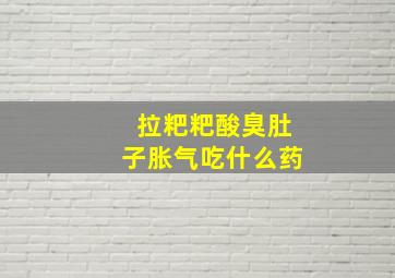 拉粑粑酸臭肚子胀气吃什么药