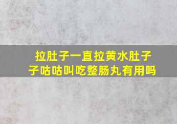 拉肚子一直拉黄水肚子子咕咕叫吃整肠丸有用吗