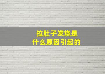 拉肚子发烧是什么原因引起的