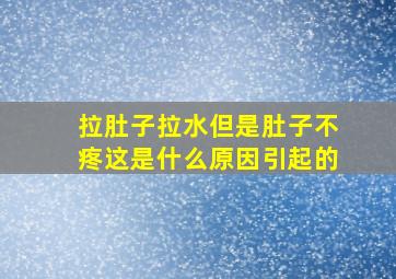 拉肚子拉水但是肚子不疼这是什么原因引起的