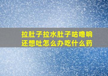 拉肚子拉水肚子咕噜响还想吐怎么办吃什么药