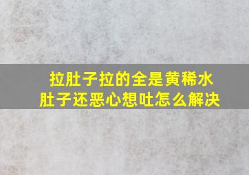 拉肚子拉的全是黄稀水肚子还恶心想吐怎么解决