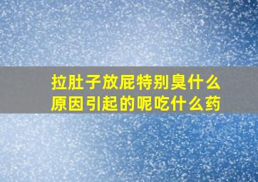 拉肚子放屁特别臭什么原因引起的呢吃什么药