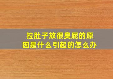 拉肚子放很臭屁的原因是什么引起的怎么办