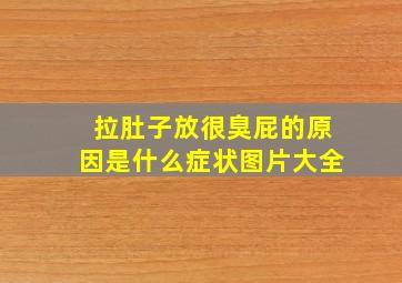 拉肚子放很臭屁的原因是什么症状图片大全