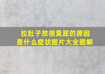 拉肚子放很臭屁的原因是什么症状图片大全图解