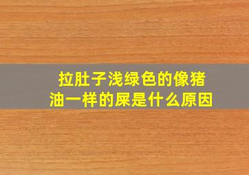 拉肚子浅绿色的像猪油一样的屎是什么原因