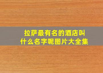 拉萨最有名的酒店叫什么名字呢图片大全集