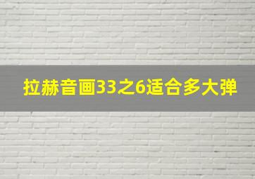 拉赫音画33之6适合多大弹