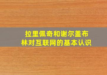 拉里佩奇和谢尔盖布林对互联网的基本认识