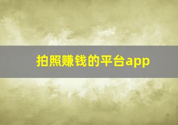 拍照赚钱的平台app