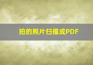 拍的照片扫描成PDF